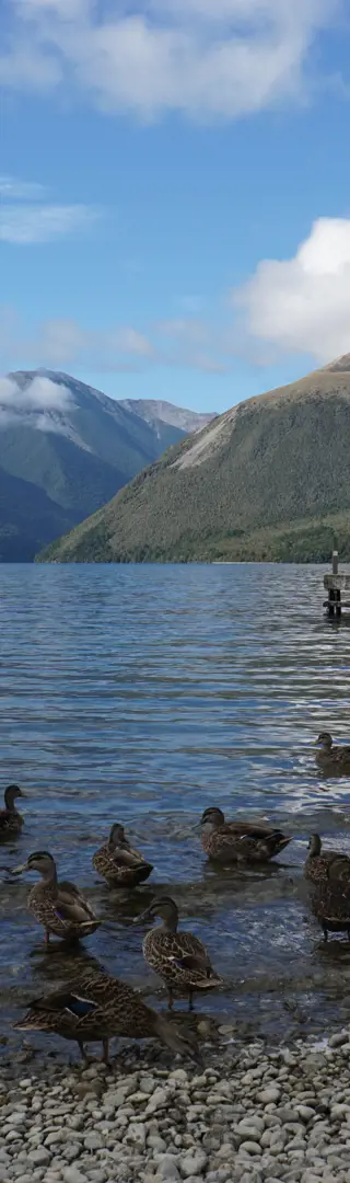 Alpenpanorama der Nelson Lakes